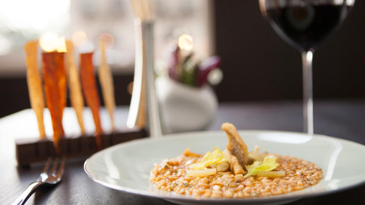 Cafe Spiaggia signature dishes Seasonal Risotto
Fresh Burrata
Handmade Tagliatelle